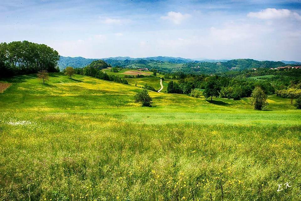브루사스코 Ca Borgo Vecchio 아파트 호텔 외부 사진